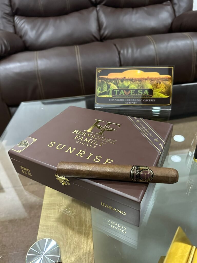 theatre-artist-template-repertoire-img-1 whatsapp image 2026 01 07 at 5.21.50 pm (1)